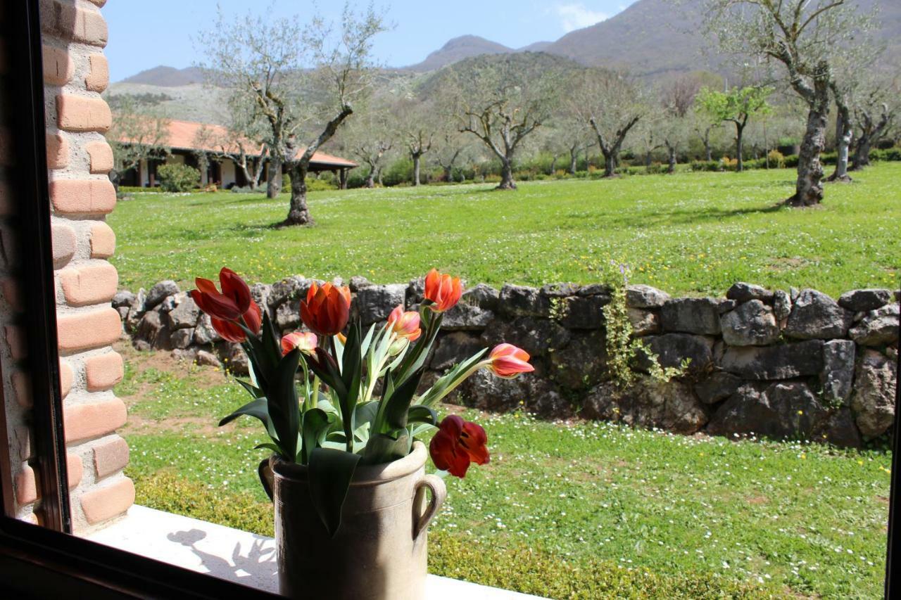 Il Castagneto Vakantieboerderij