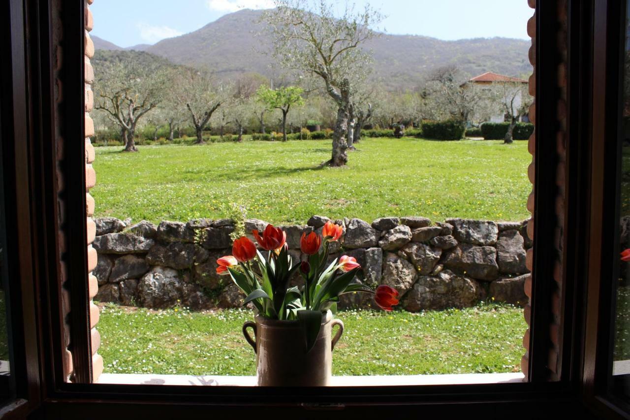 Il Castagneto Vakantieboerderij *